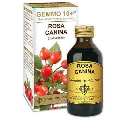 GEMMO 10+ ROSA CANINA LIQUIDO ANALCOLICO 100 ML