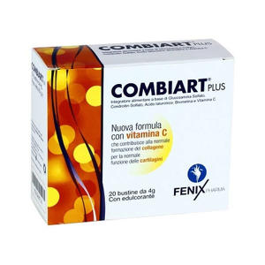  - COMBIART PLUS 20 BUSTINE